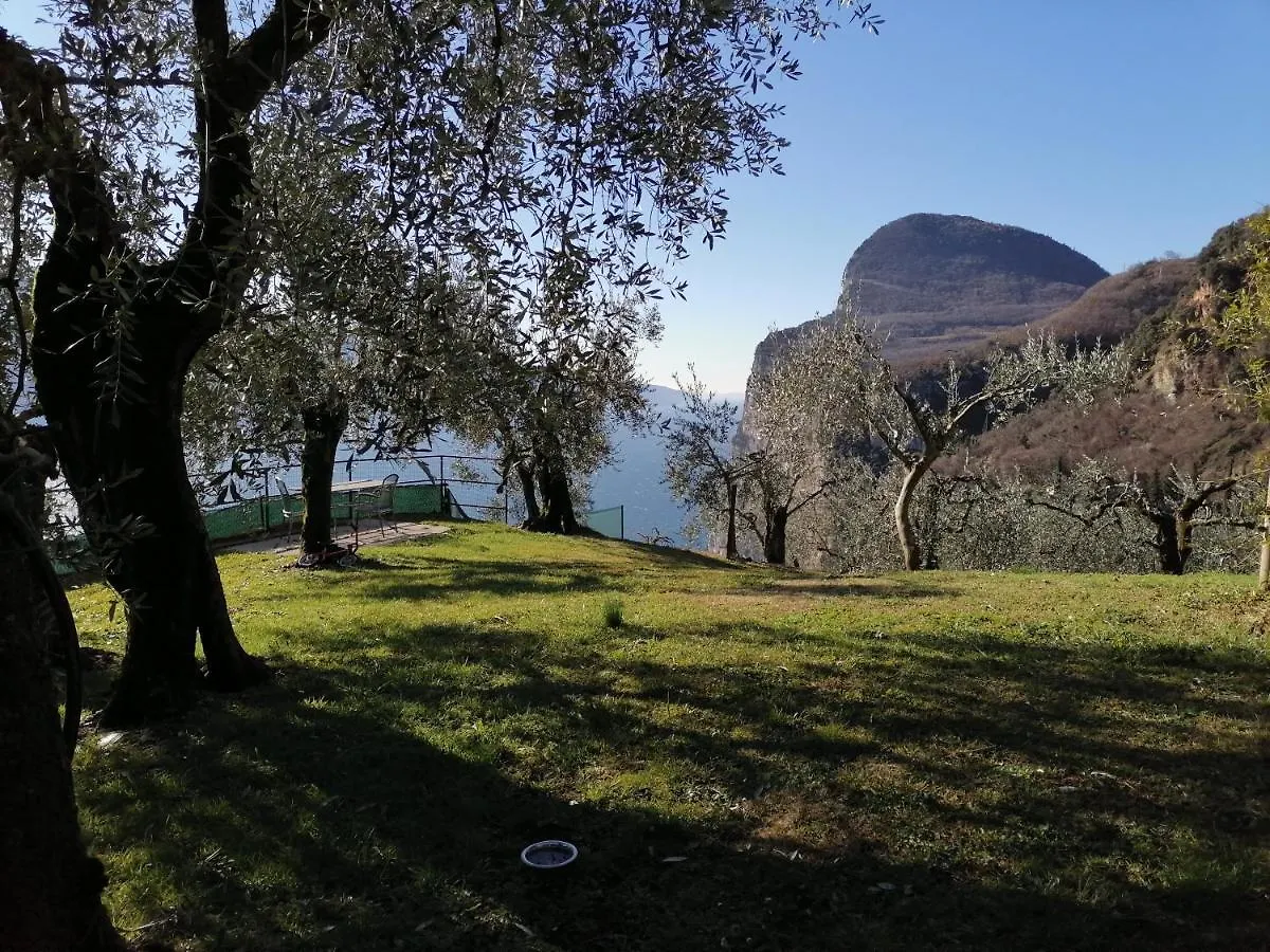 Casetta Delle Olive Tremosine Holiday home