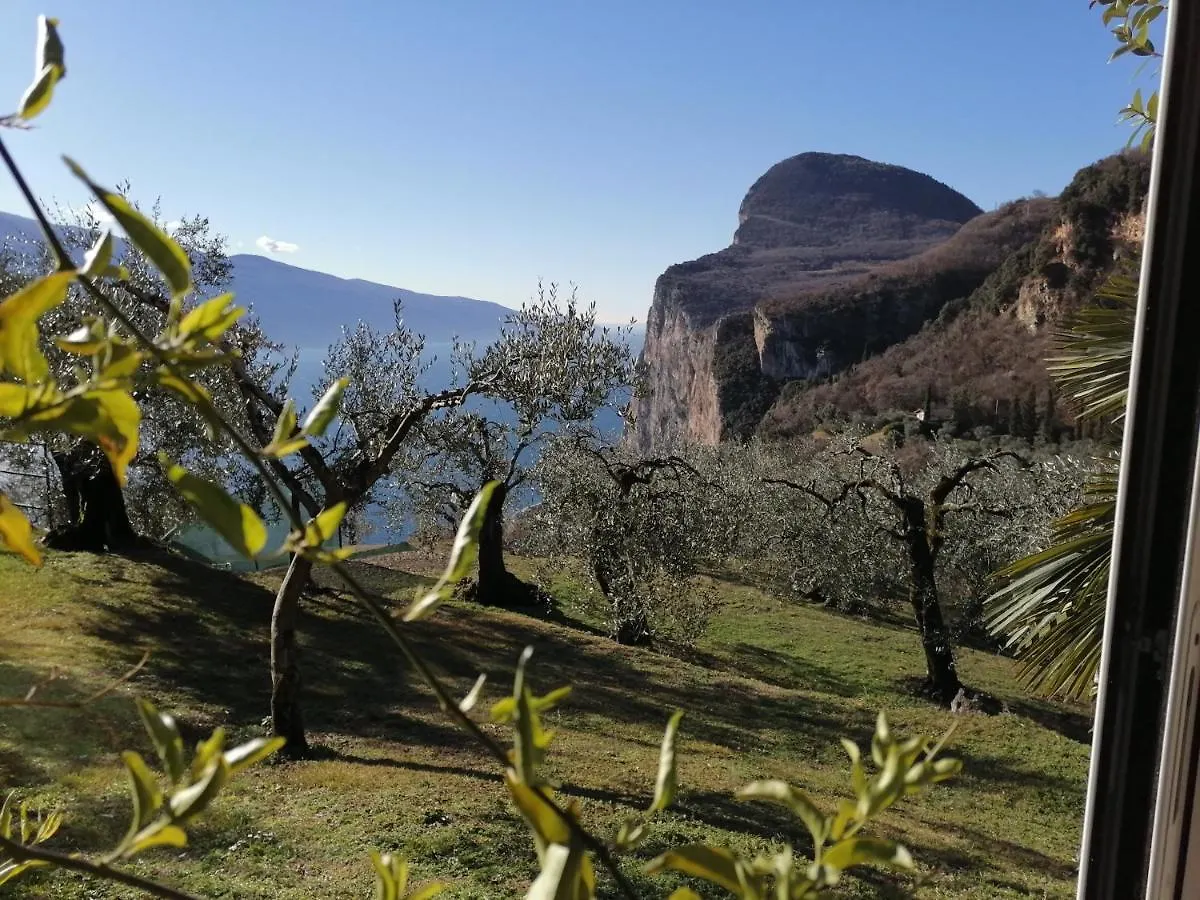 Casetta Delle Olive Tremosine Holiday home