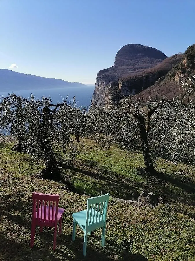 Casetta Delle Olive Tremosine