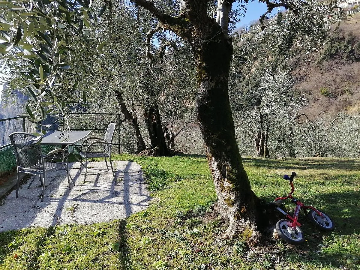 Casetta Delle Olive Tremosine
